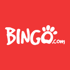 Bingo Com Casino
